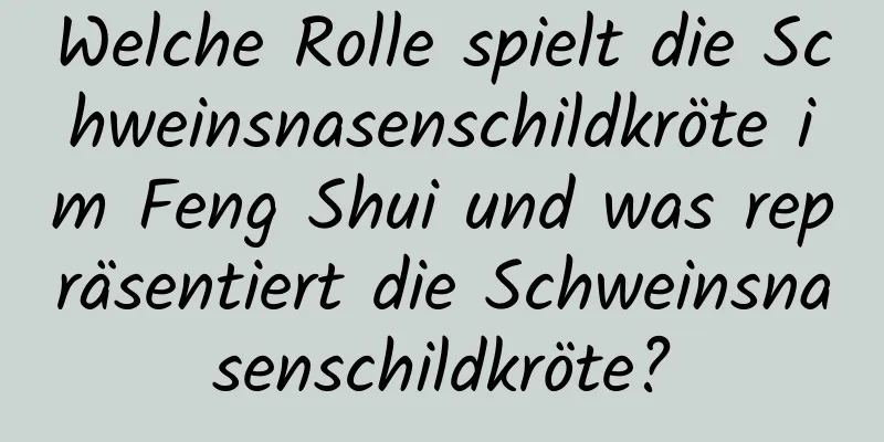 Welche Rolle spielt die Schweinsnasenschildkröte im Feng Shui und was repräsentiert die Schweinsnasenschildkröte?