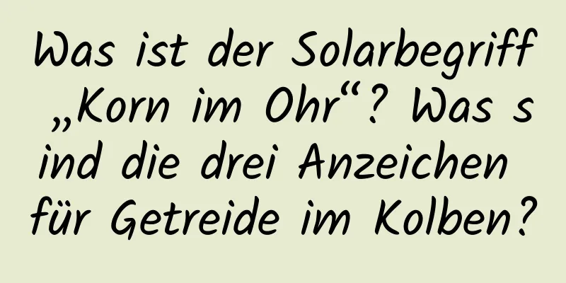 Was ist der Solarbegriff „Korn im Ohr“? Was sind die drei Anzeichen für Getreide im Kolben?