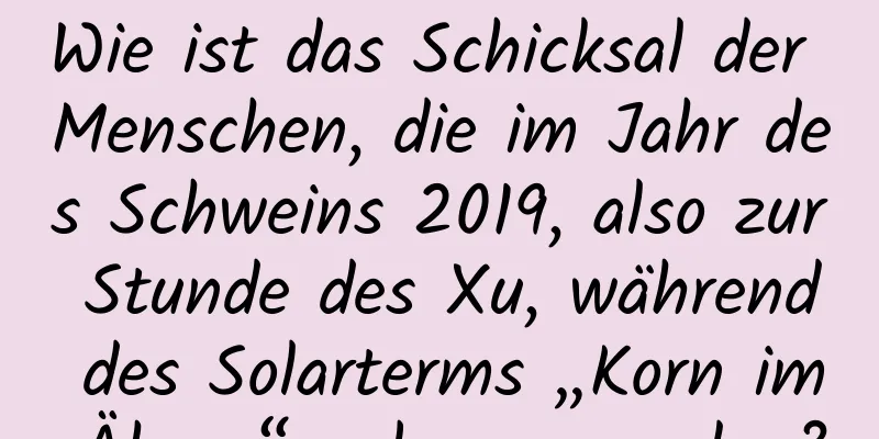 Wie ist das Schicksal der Menschen, die im Jahr des Schweins 2019, also zur Stunde des Xu, während des Solarterms „Korn im Ähren“ geboren wurden?