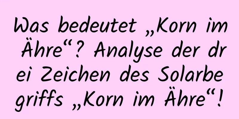 Was bedeutet „Korn im Ähre“? Analyse der drei Zeichen des Solarbegriffs „Korn im Ähre“!