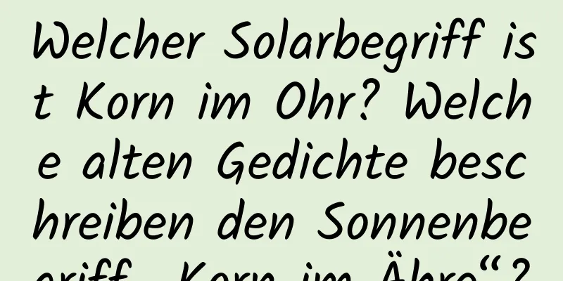 Welcher Solarbegriff ist Korn im Ohr? Welche alten Gedichte beschreiben den Sonnenbegriff „Korn im Ähre“?