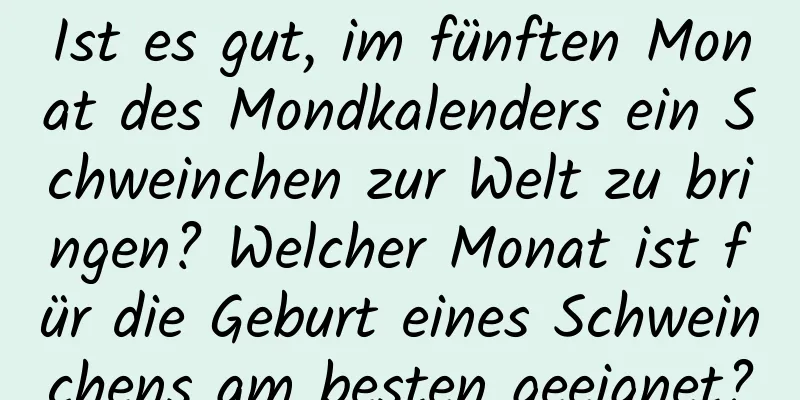 Ist es gut, im fünften Monat des Mondkalenders ein Schweinchen zur Welt zu bringen? Welcher Monat ist für die Geburt eines Schweinchens am besten geeignet?