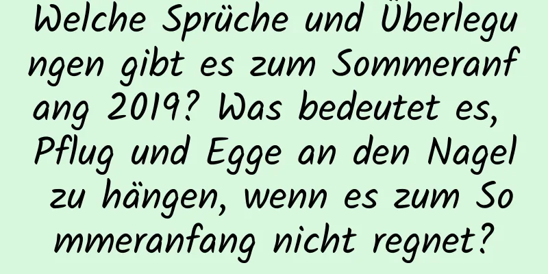 Welche Sprüche und Überlegungen gibt es zum Sommeranfang 2019? Was bedeutet es, Pflug und Egge an den Nagel zu hängen, wenn es zum Sommeranfang nicht regnet?