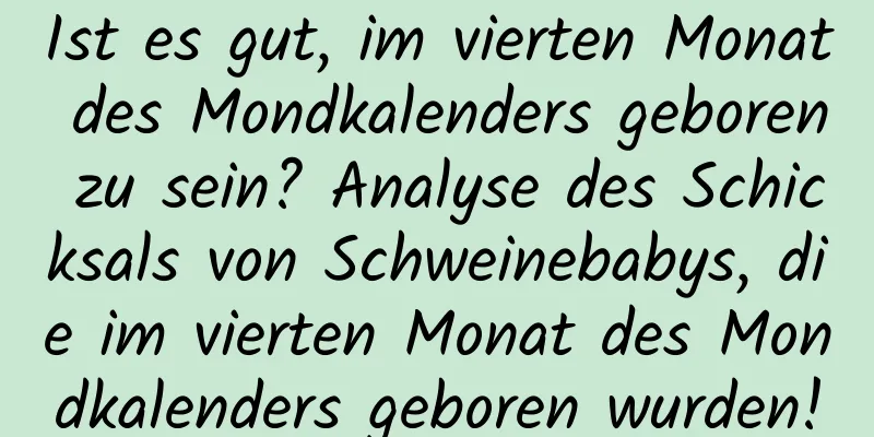 Ist es gut, im vierten Monat des Mondkalenders geboren zu sein? Analyse des Schicksals von Schweinebabys, die im vierten Monat des Mondkalenders geboren wurden!