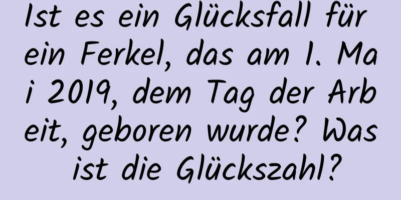 Ist es ein Glücksfall für ein Ferkel, das am 1. Mai 2019, dem Tag der Arbeit, geboren wurde? Was ist die Glückszahl?