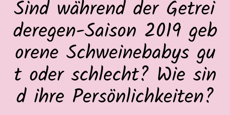 Sind während der Getreideregen-Saison 2019 geborene Schweinebabys gut oder schlecht? Wie sind ihre Persönlichkeiten?