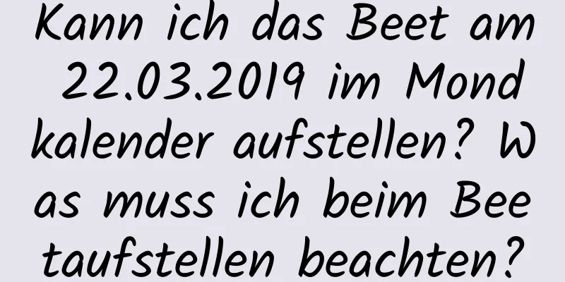 Kann ich das Beet am 22.03.2019 im Mondkalender aufstellen? Was muss ich beim Beetaufstellen beachten?