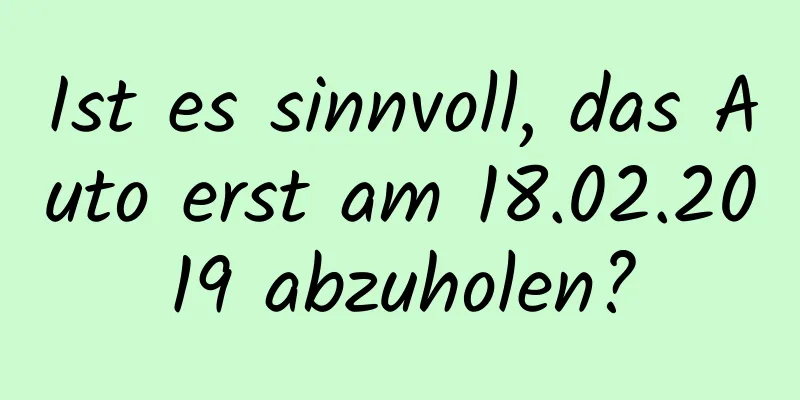 Ist es sinnvoll, das Auto erst am 18.02.2019 abzuholen?