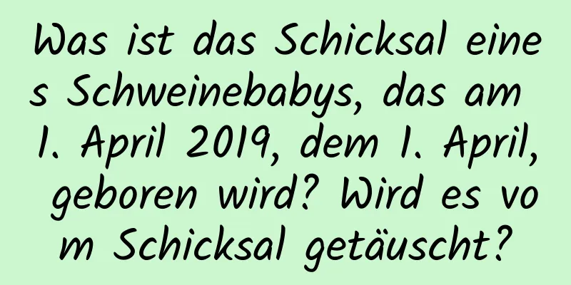 Was ist das Schicksal eines Schweinebabys, das am 1. April 2019, dem 1. April, geboren wird? Wird es vom Schicksal getäuscht?