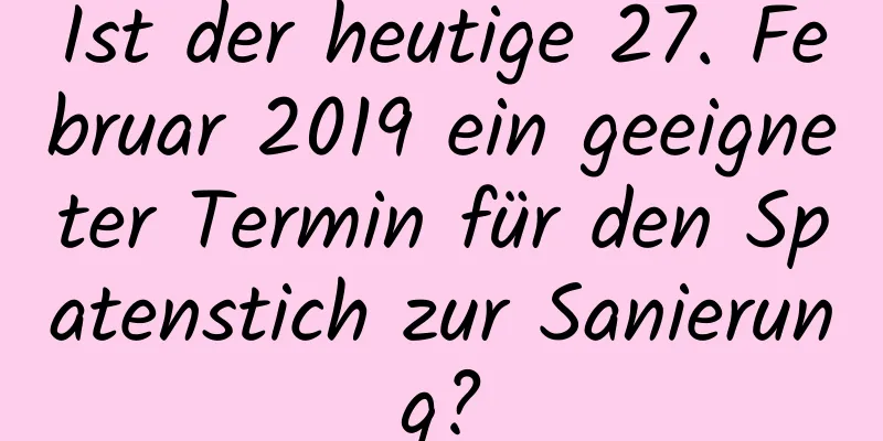 Ist der heutige 27. Februar 2019 ein geeigneter Termin für den Spatenstich zur Sanierung?