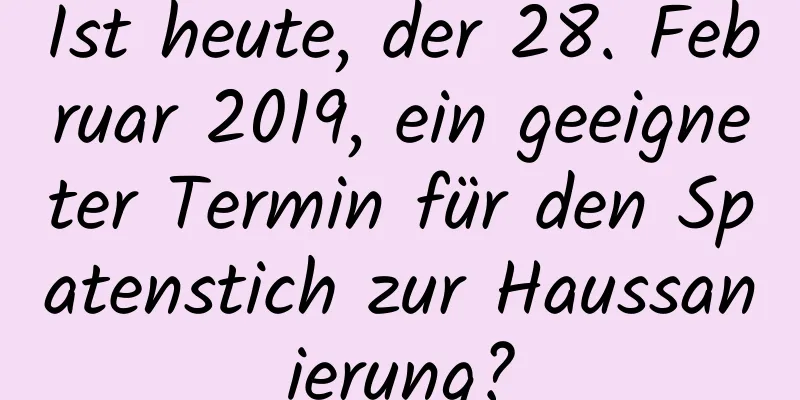 Ist heute, der 28. Februar 2019, ein geeigneter Termin für den Spatenstich zur Haussanierung?