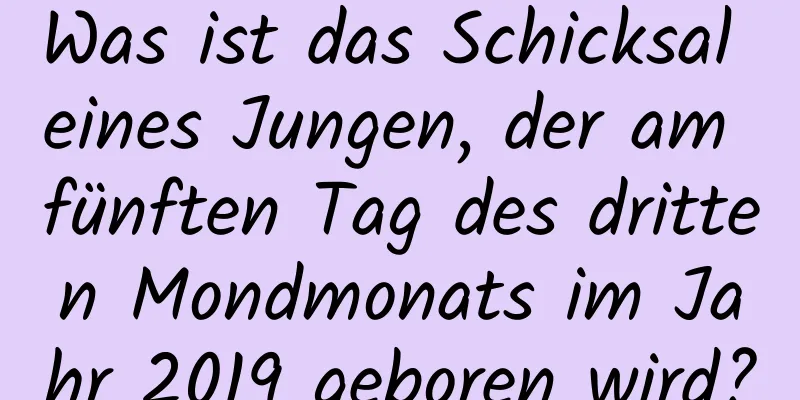 Was ist das Schicksal eines Jungen, der am fünften Tag des dritten Mondmonats im Jahr 2019 geboren wird?