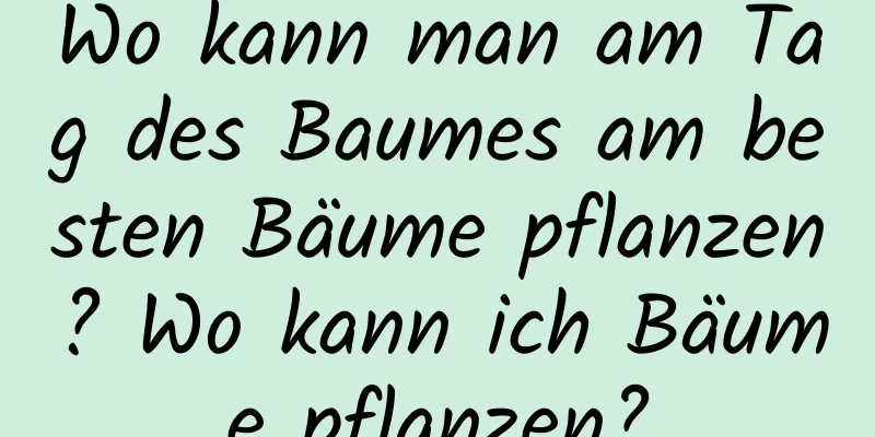 Wo kann man am Tag des Baumes am besten Bäume pflanzen? Wo kann ich Bäume pflanzen?