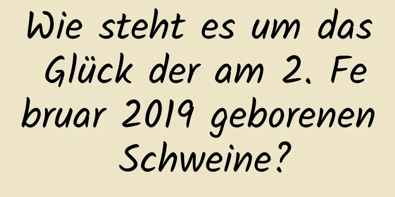 Wie steht es um das Glück der am 2. Februar 2019 geborenen Schweine?