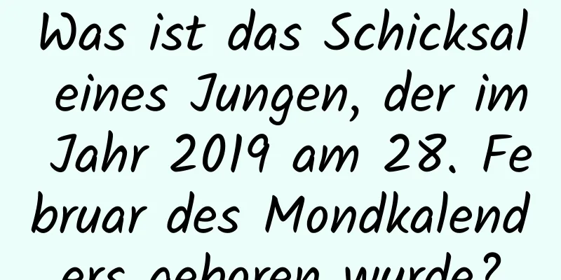 Was ist das Schicksal eines Jungen, der im Jahr 2019 am 28. Februar des Mondkalenders geboren wurde?