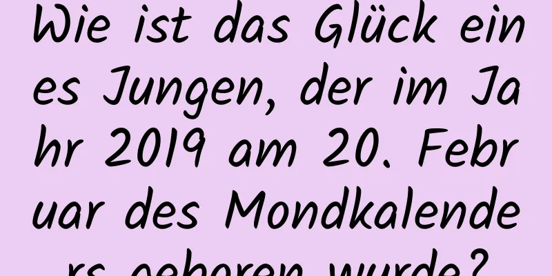 Wie ist das Glück eines Jungen, der im Jahr 2019 am 20. Februar des Mondkalenders geboren wurde?