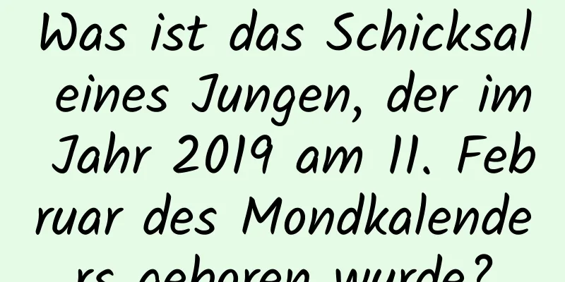 Was ist das Schicksal eines Jungen, der im Jahr 2019 am 11. Februar des Mondkalenders geboren wurde?