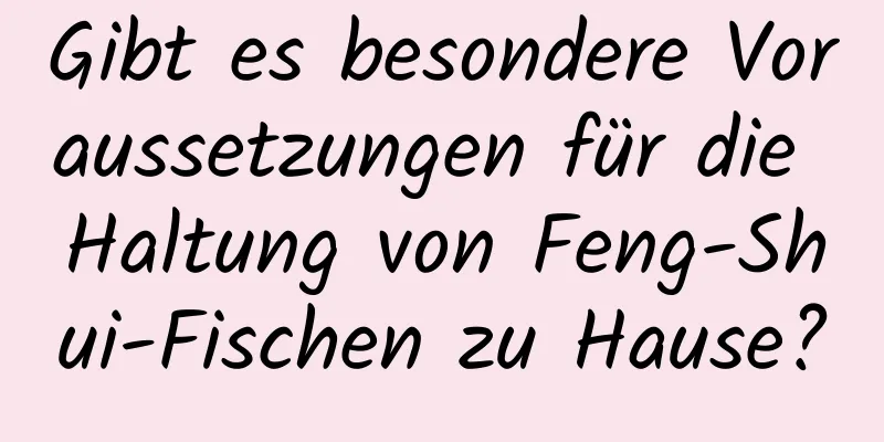 Gibt es besondere Voraussetzungen für die Haltung von Feng-Shui-Fischen zu Hause?