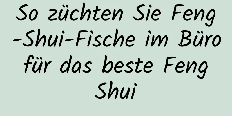 So züchten Sie Feng-Shui-Fische im Büro für das beste Feng Shui