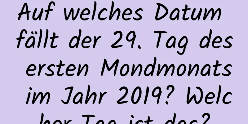 Auf welches Datum fällt der 29. Tag des ersten Mondmonats im Jahr 2019? Welcher Tag ist das?