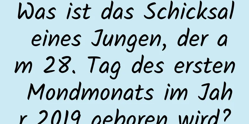 Was ist das Schicksal eines Jungen, der am 28. Tag des ersten Mondmonats im Jahr 2019 geboren wird?