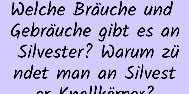 Welche Bräuche und Gebräuche gibt es an Silvester? Warum zündet man an Silvester Knallkörper?