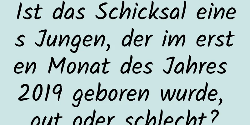 Ist das Schicksal eines Jungen, der im ersten Monat des Jahres 2019 geboren wurde, gut oder schlecht?