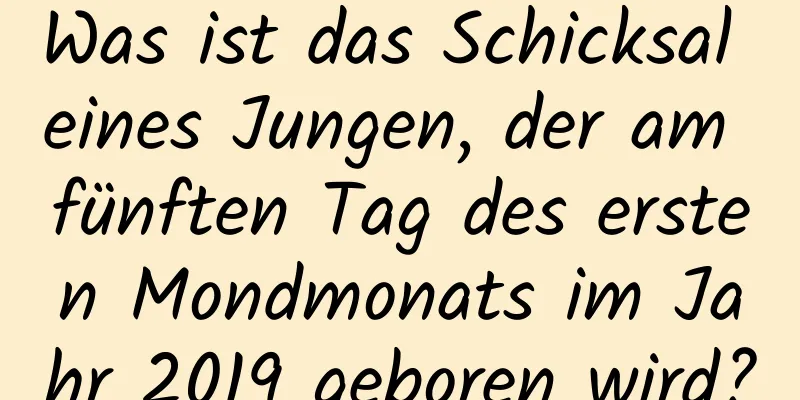 Was ist das Schicksal eines Jungen, der am fünften Tag des ersten Mondmonats im Jahr 2019 geboren wird?