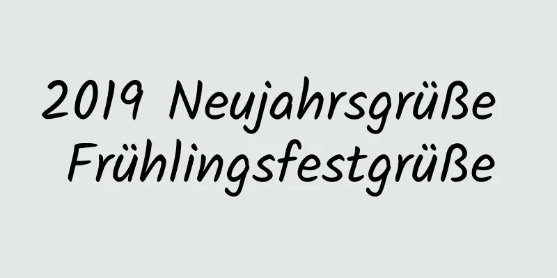 2019 Neujahrsgrüße Frühlingsfestgrüße