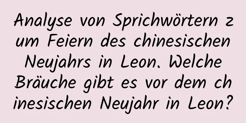 Analyse von Sprichwörtern zum Feiern des chinesischen Neujahrs in Leon. Welche Bräuche gibt es vor dem chinesischen Neujahr in Leon?