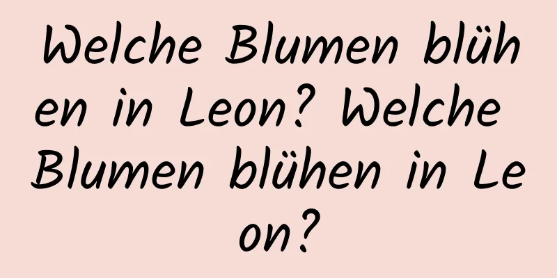 Welche Blumen blühen in Leon? Welche Blumen blühen in Leon?