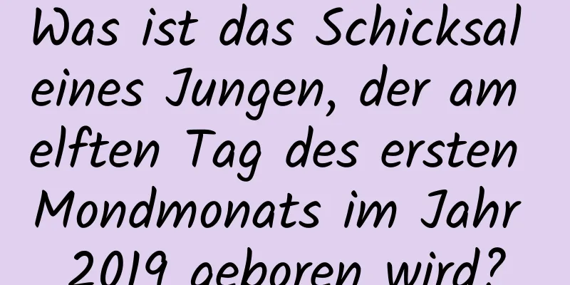 Was ist das Schicksal eines Jungen, der am elften Tag des ersten Mondmonats im Jahr 2019 geboren wird?