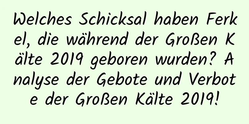 Welches Schicksal haben Ferkel, die während der Großen Kälte 2019 geboren wurden? Analyse der Gebote und Verbote der Großen Kälte 2019!