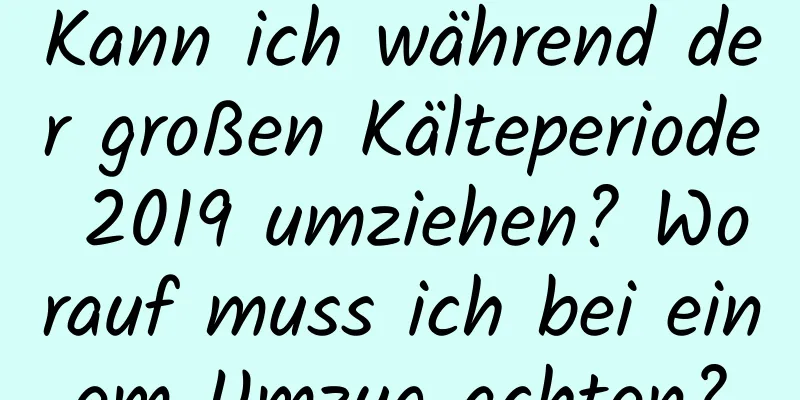 Kann ich während der großen Kälteperiode 2019 umziehen? Worauf muss ich bei einem Umzug achten?