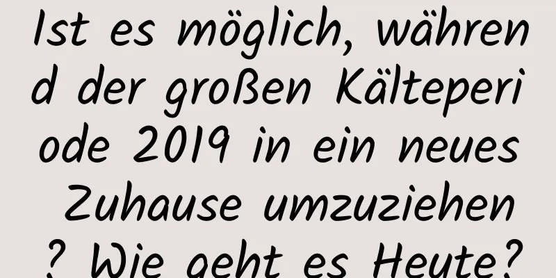 Ist es möglich, während der großen Kälteperiode 2019 in ein neues Zuhause umzuziehen? Wie geht es Heute?