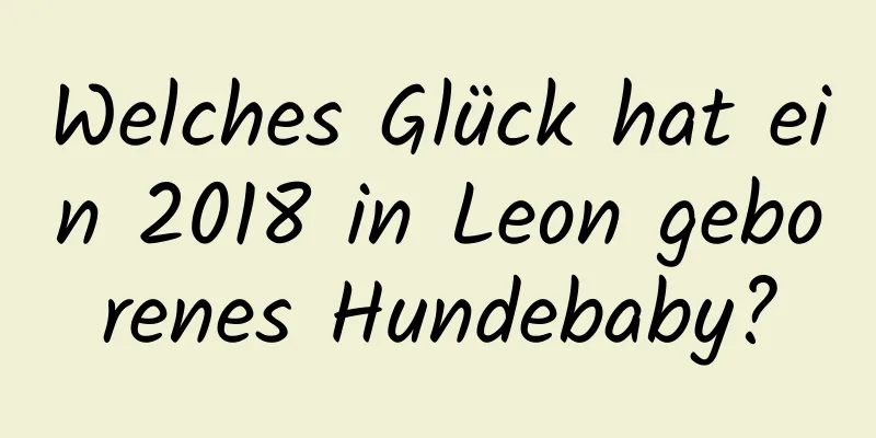 Welches Glück hat ein 2018 in Leon geborenes Hundebaby?