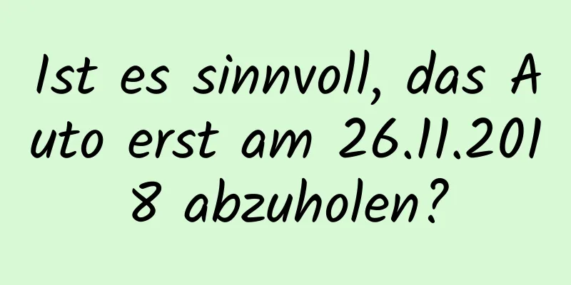 Ist es sinnvoll, das Auto erst am 26.11.2018 abzuholen?