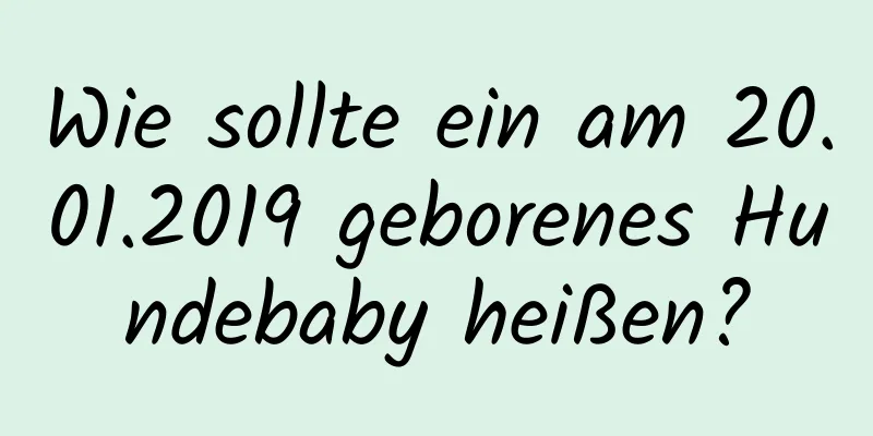 Wie sollte ein am 20.01.2019 geborenes Hundebaby heißen?