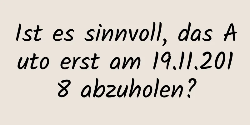 Ist es sinnvoll, das Auto erst am 19.11.2018 abzuholen?