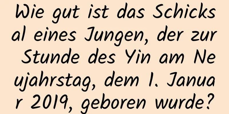 Wie gut ist das Schicksal eines Jungen, der zur Stunde des Yin am Neujahrstag, dem 1. Januar 2019, geboren wurde?