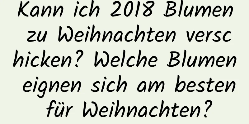 Kann ich 2018 Blumen zu Weihnachten verschicken? Welche Blumen eignen sich am besten für Weihnachten?