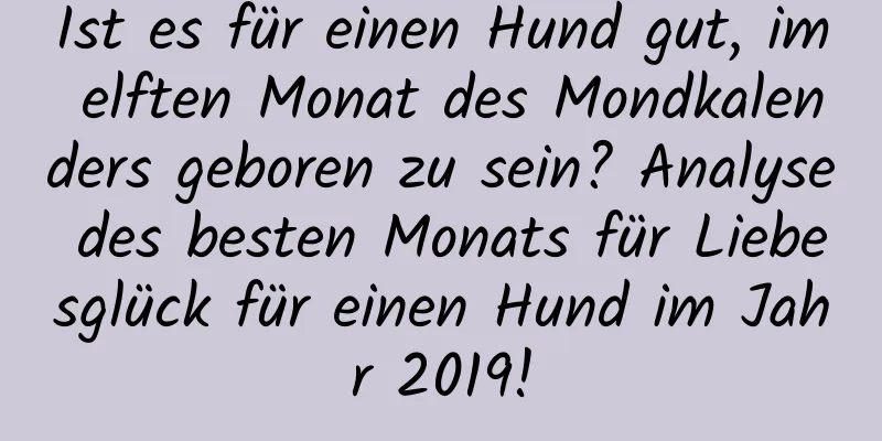 Ist es für einen Hund gut, im elften Monat des Mondkalenders geboren zu sein? Analyse des besten Monats für Liebesglück für einen Hund im Jahr 2019!