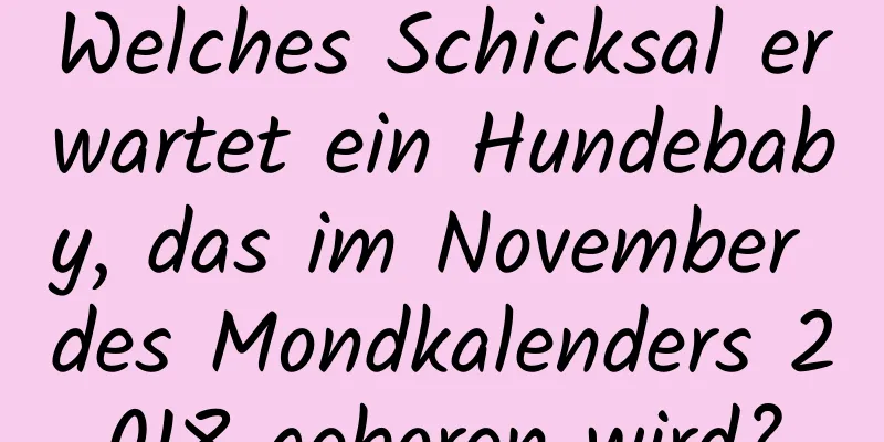 Welches Schicksal erwartet ein Hundebaby, das im November des Mondkalenders 2018 geboren wird?