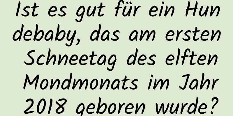 Ist es gut für ein Hundebaby, das am ersten Schneetag des elften Mondmonats im Jahr 2018 geboren wurde?