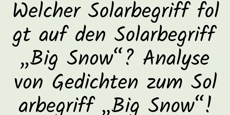 Welcher Solarbegriff folgt auf den Solarbegriff „Big Snow“? Analyse von Gedichten zum Solarbegriff „Big Snow“!