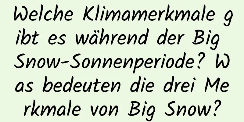 Welche Klimamerkmale gibt es während der Big Snow-Sonnenperiode? Was bedeuten die drei Merkmale von Big Snow?