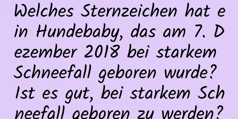 Welches Sternzeichen hat ein Hundebaby, das am 7. Dezember 2018 bei starkem Schneefall geboren wurde? Ist es gut, bei starkem Schneefall geboren zu werden?