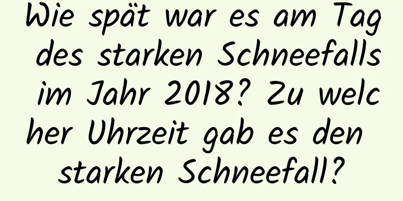 Wie spät war es am Tag des starken Schneefalls im Jahr 2018? Zu welcher Uhrzeit gab es den starken Schneefall?