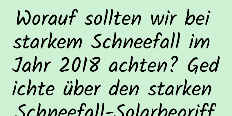 Worauf sollten wir bei starkem Schneefall im Jahr 2018 achten? Gedichte über den starken Schneefall-Solarbegriff