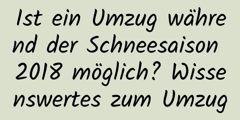 Ist ein Umzug während der Schneesaison 2018 möglich? Wissenswertes zum Umzug